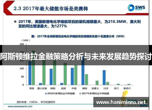 阿斯顿维拉金融策略分析与未来发展趋势探讨
