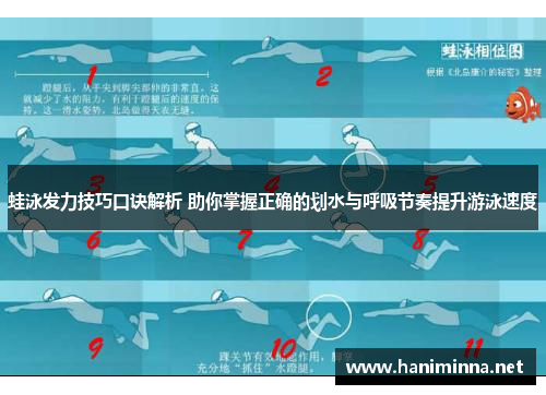 蛙泳发力技巧口诀解析 助你掌握正确的划水与呼吸节奏提升游泳速度